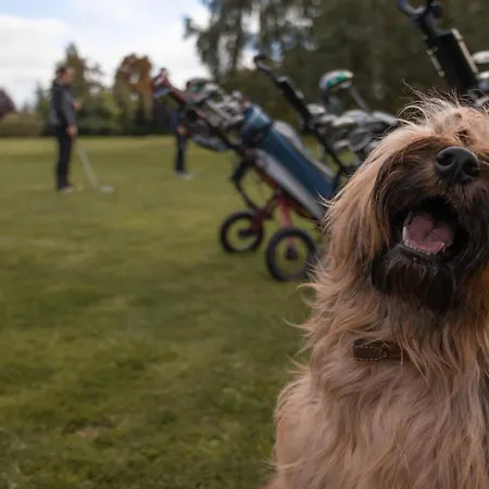 Ledowohouse Vintage Own Golf Course, Kids Friendly Ledowo (Gdansk)