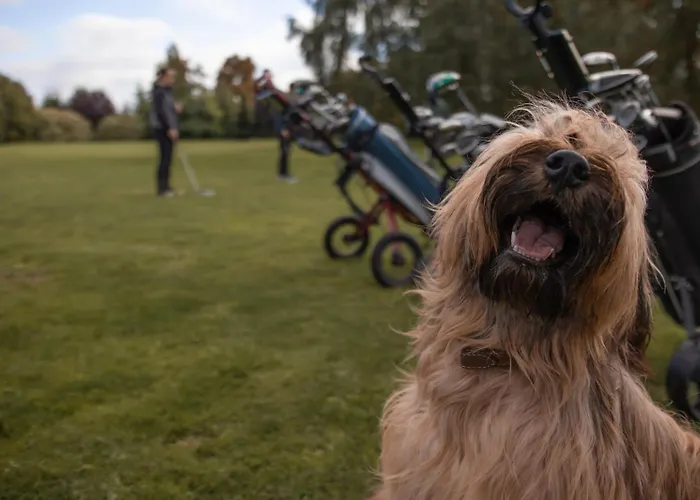 Ledowohouse Vintage Own Golf Course, Kids Friendly Ledowo (Gdansk)